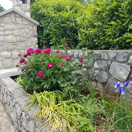 Apartman Mariela Labin